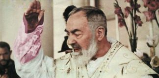 Padre Pio profetizzò la falsa chiesa di Bergoglio